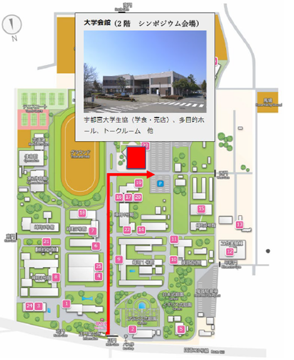 チラシの画像