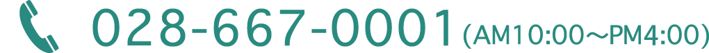 028-667-0001